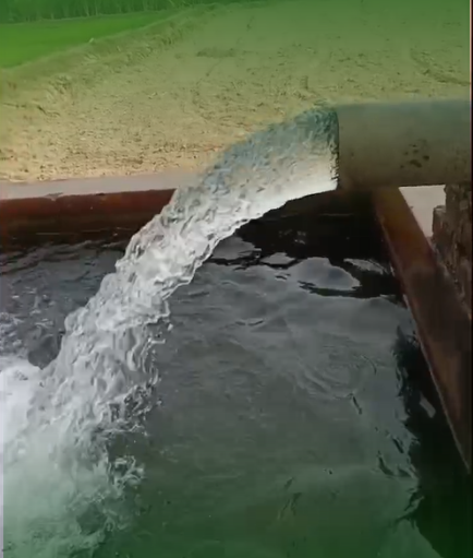 Untitled design (98)